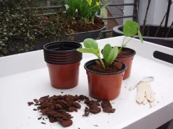 Nature Plastic Stekpotjes - Kweekbenodigdheden