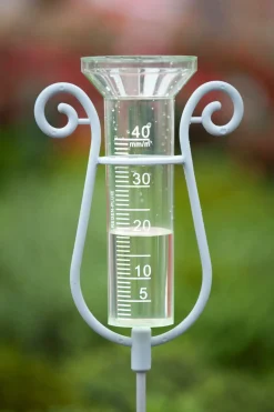 Nature Regenmeter - Regenmeter - Ø7.5x17.5 cm Transparant