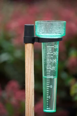 Nature Regenmeter - Regenmeter - Ø8.5x24.5 cm Transparant