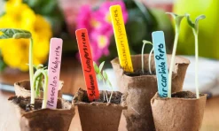 Nature Steeketiketten - Kweekbenodigdheden - 0.15x1.4x10 cm Mix 40 stuks