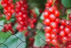 Nature Tuinnet Primo Zwart - Kweekbenodigdheden