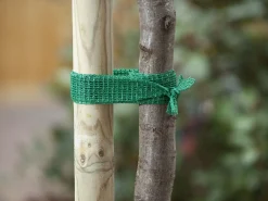Nature Uni Boomband - Klim-En Geleide Artikel - 200x4 cm Groen