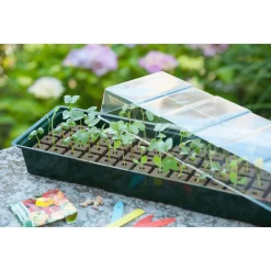 Nature Vensterbankkweekset - Vensterbanktuin - 49x15.5x10 cm Groen Transparant