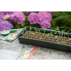 Nature Vensterbankkweekset - Vensterbanktuin - 49x15.5x10 cm Groen Transparant