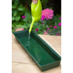 Nature Vensterbankkweekset - Vensterbanktuin - 49x15.5x10 cm Groen Transparant