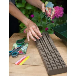 Nature Vensterbankkweekset - Vensterbanktuin - 49x15.5x10 cm Groen Transparant