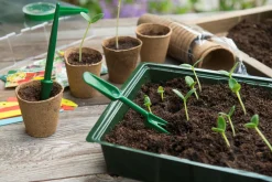 Nature Verspeenset - Kweekbenodigdheden - 1.8x1.5x15 cm Groen