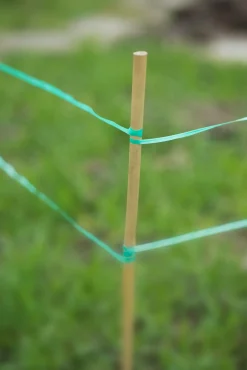 Nature Vogelschrikband - Kweekbenodigdheden - 2x7x7 cm Groen