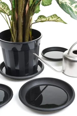 Nature Waterschotel Zwart - Kweekbenodigdheden