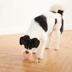Nina Ottosson Dog Rumble Puzzle - Hondenspeelgoed - Ø13 cm Oranje Blauw Transparant Level 1
