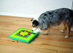 Nina Ottosson Multipuzzle Snack Puzzel - Hondenspeelgoed - 38x38x5 cm Blauw Groen Level 4