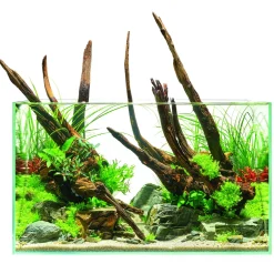 Oase Scaperline 60 Aquarium - Aquaria - 60x35x35 cm