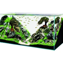 Oase Scaperline 100 Aquarium - Aquaria - 100x50x50 cm