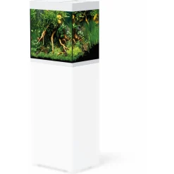 Oase Styleline 85 Aquarium 50x36x42 cm - Aquaria
