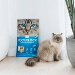 Odourlock Baby Powder - Kattenbakvulling - 12 kg