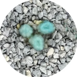 Odourlock Max Care - Kattenbakvulling - 12 kg