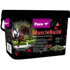 Pavo Musclebuild - Voedingssupplement - 3 kg