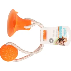 Pawise Speeltje Bal Met Zuignap - Hondenspeelgoed - 40 cm Multi-Color