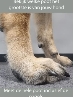 Pawz Rubber Dog Boots - Hondenschoen - Geel S