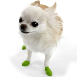 Pawz Rubber Dog Boots - Hondenschoen - Groen Tiny