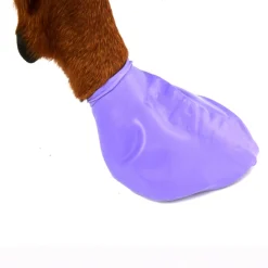 Pawz Rubber Dog Boots - Hondenschoen - Paars Large