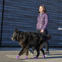 Pawz Rubber Dog Boots - Hondenschoen - Paars Large