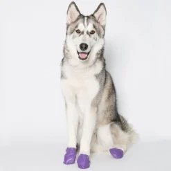 Pawz Rubber Dog Boots - Hondenschoen - Paars Large