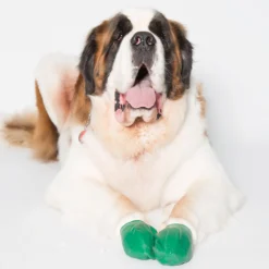 Pawz Rubber Dog Boots - Hondenschoen - Groen Large