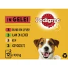 Pedigree Maaltijdzakjes Adult Favourites In Gelei Multipack - Hondenvoer - 12x100 g