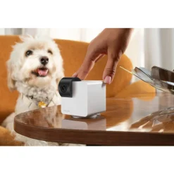 Petcube Cam 360° Huisdiercamera - IP Camera's -