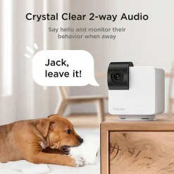 Petcube Cam 360° Huisdiercamera - IP Camera's -