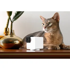 Petcube Cam 360° Huisdiercamera - IP Camera's -