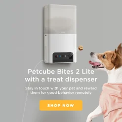 Petcube Pet Camera Met Treat Dispenser En App - IP Camera's - Wit