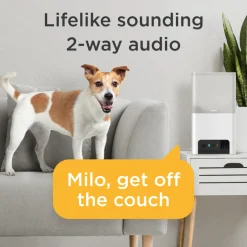 Petcube Pet Camera Met Treat Dispenser En App - IP Camera's - Wit