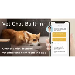 Petcube Pet Camera Met Treat Dispenser En App - IP Camera's - Wit