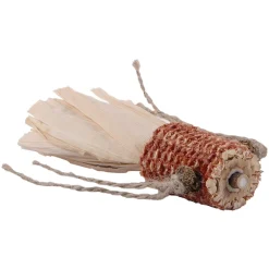 Petlando Silver Vine Goudvis - Kattenkruid Speelgoed - 18.3x12.1x3.5 cm