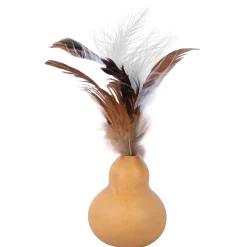 Petlando Silver Vine Kalebas - Kattenkruid Speelgoed - 18.3x12.1x3.5 cm