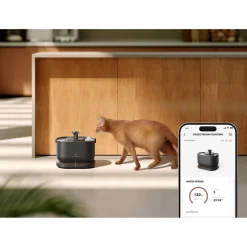 Petlibro Dockstream Smart Waterfontein - Waterfontein - Zwart