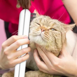 Petlux Waterblazer / Fohn - Hondenvachtverzorging - Wit