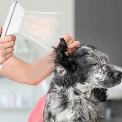 Petlux Waterblazer / Fohn - Hondenvachtverzorging - Wit