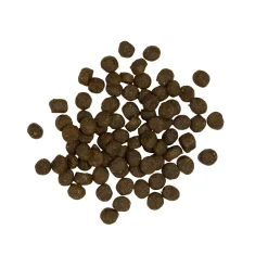 Pets Place Plus Kat Seniors - Kattenvoer - Eend Rijst 1.5 kg