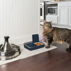 Petsafe Digitale Dubbele Voerbak - Hondenvoerbak - 30.1x22.5x6.5 cm Blauw Grijs