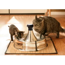 Petsafe Drinkwell 360 Roestvrijstalen Drinkfontein - Hondendrinkbak - 3.8 l