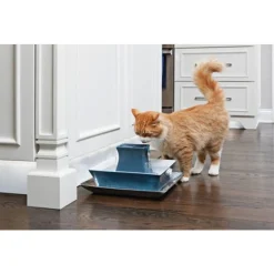 Petsafe Drinkwell Pagoda Keramische Drinkfontein - Kattendrinkbak - 21x27 cm Blauw