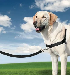Petsafe Easy Walk Anti-Trektuig Zwart - Hondenopvoeding