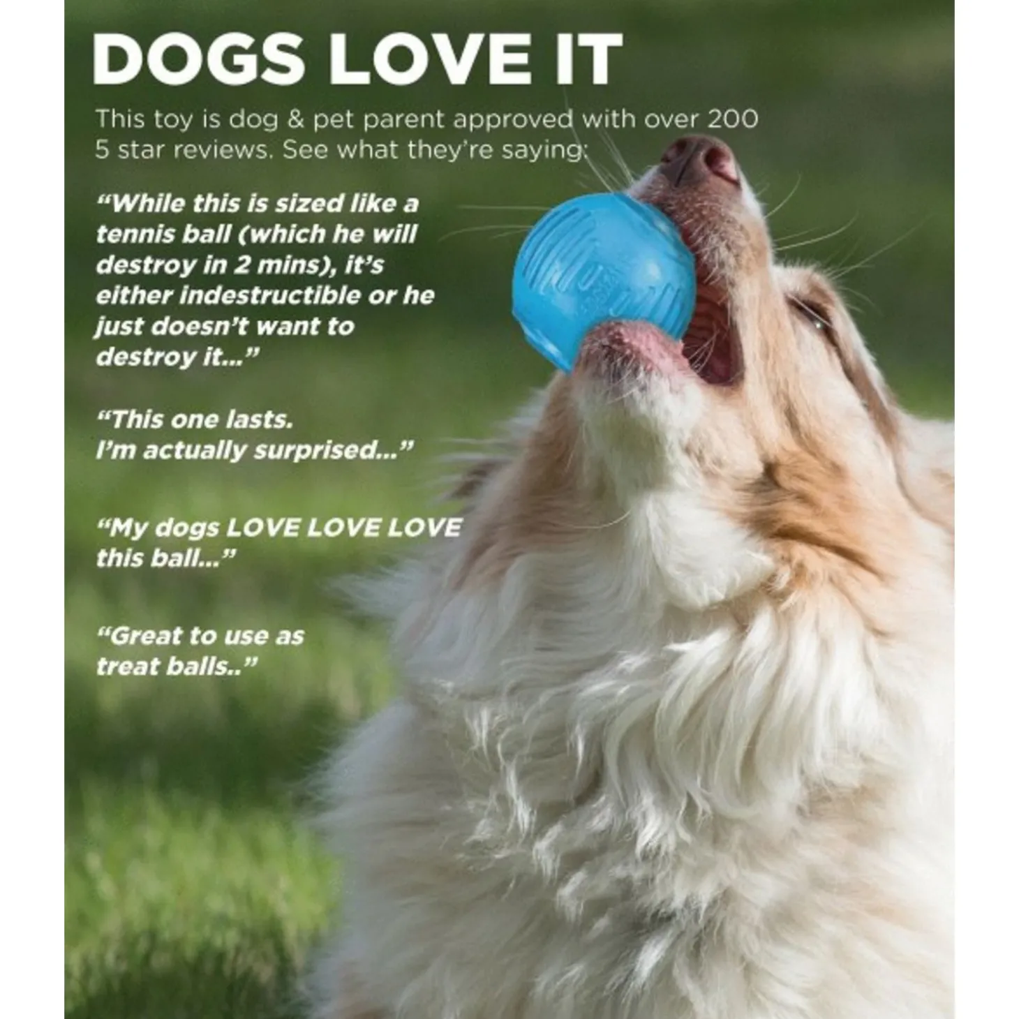 Petstages Orka Tennisbal - Hondenspeelgoed - Ø6.5 cm Blauw