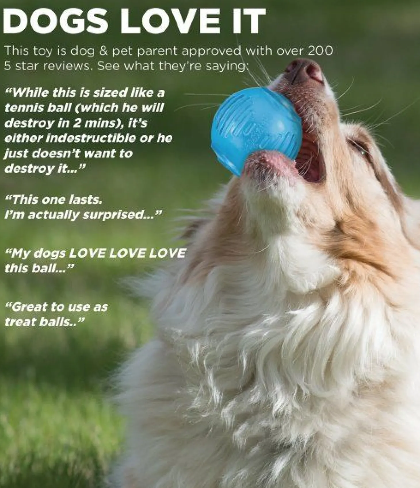 Petstages Orka Tennisbal - Hondenspeelgoed - Ø6.5 cm Blauw