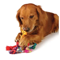 Petstages Rag Rope Ball - Hondenspeelgoed - Assorti per stuk