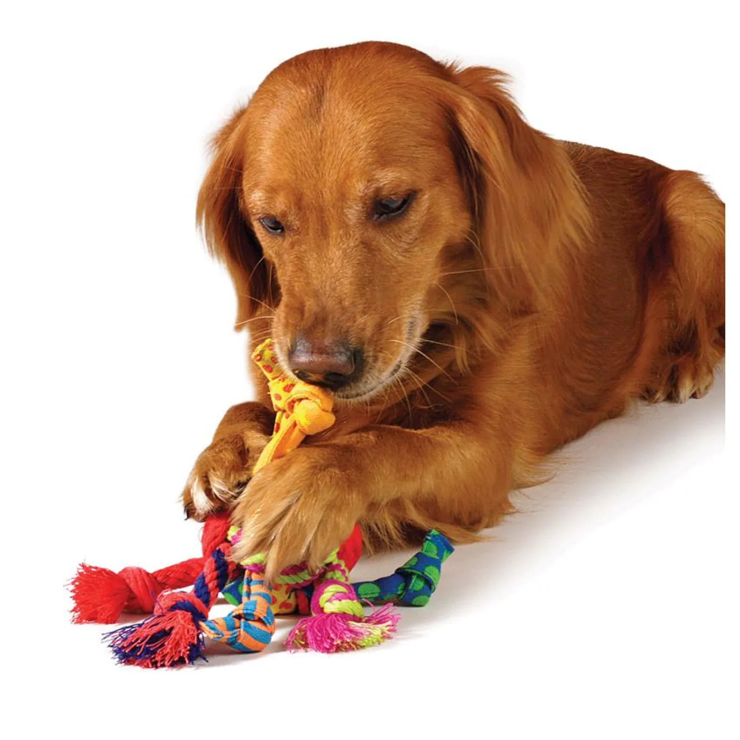 Petstages Rag Rope Ball - Hondenspeelgoed - Assorti per stuk