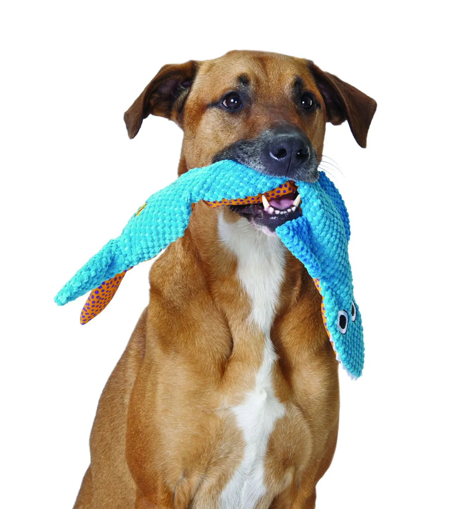 Petstages Stuffing Free Floppy Shark - Hondenspeelgoed - Blauw per stuk
